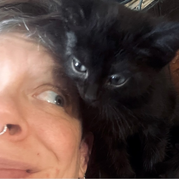 Meet your Posher, Ames - Picture 1 of 1